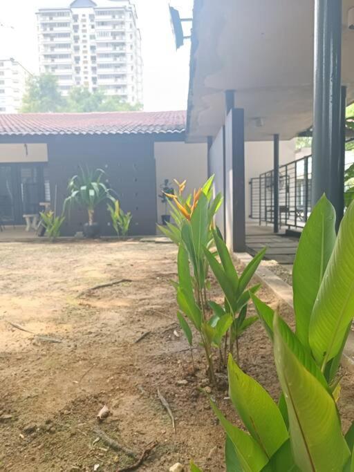 Secret Garden Pj Pool Villa Petaling Jaya Exterior foto